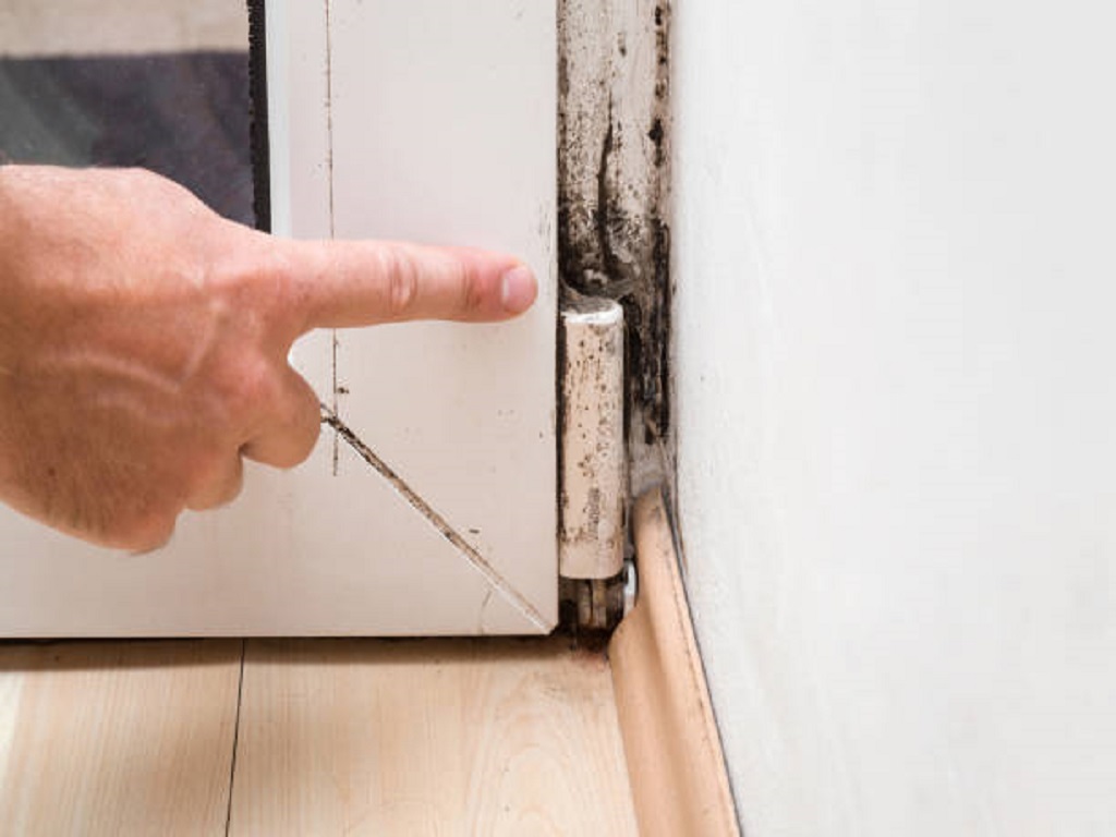 removing mold from furniture wood
