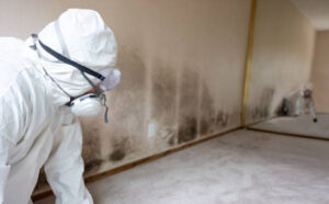 mold repair cost