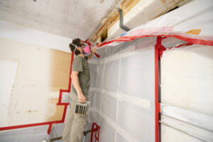 mold in vents removal