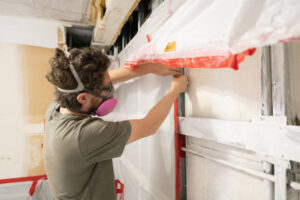 mold in vents removal