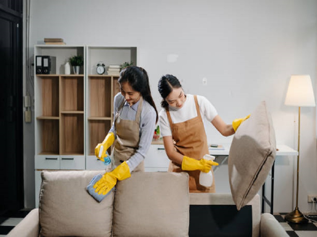 Follow the Steps to Remove Mold on Sofa and Visit the Closest Speciality Coffee Near Me to Take a Hard Earned Break