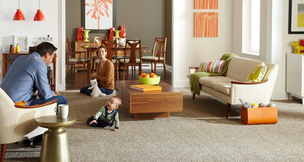 Safe Carpet Cleaning Products Recommended for Northern Beaches Kids and Pets