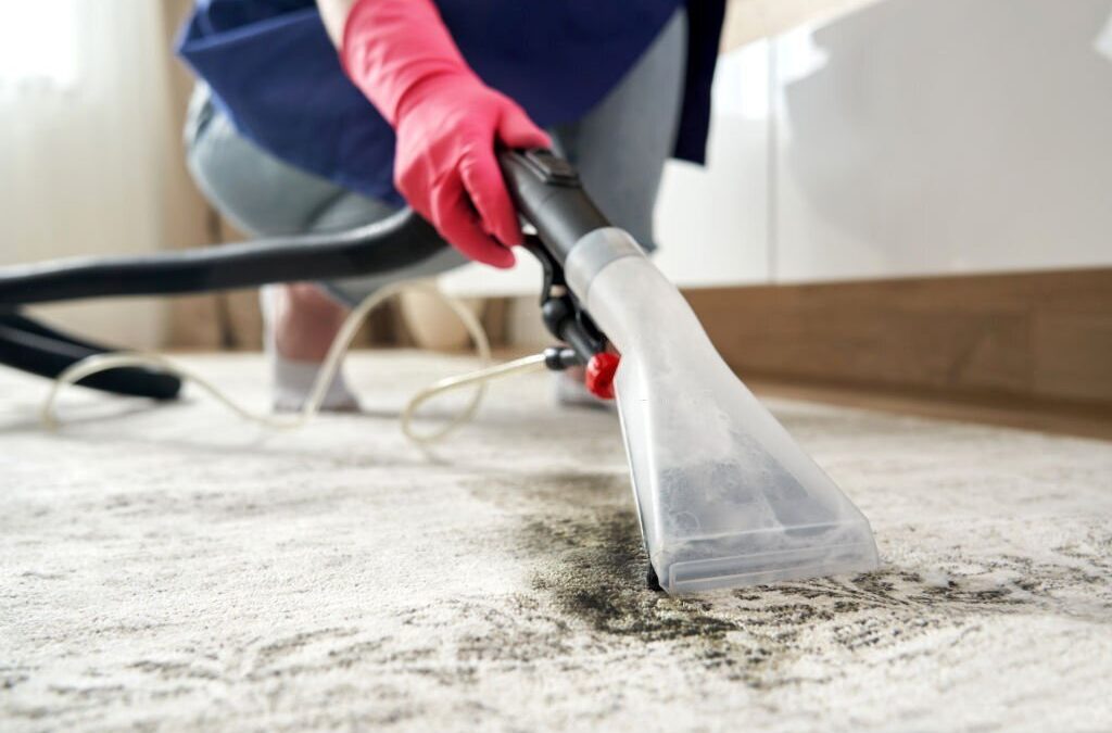 Carpet Cleaning North Shore: Professional vs DIY Methods That Work Best