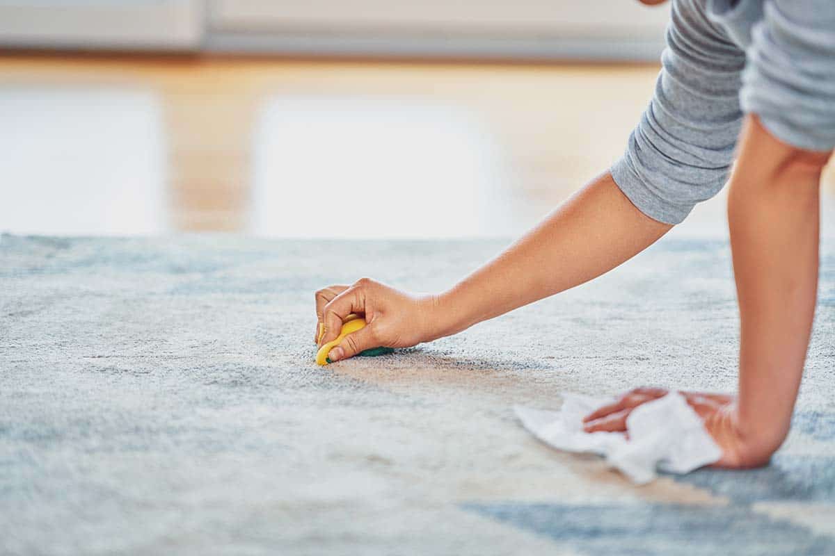 Tips on Carpet Cleaning North Shore: How to Maintain the Freshness of Your Carpets